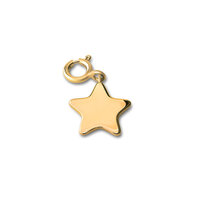 Melano Ornaments Star Hanger Goldplated