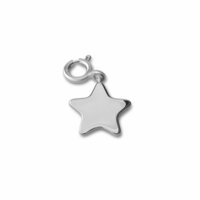 Melano Ornaments Star Hanger Zilver