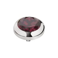 Melano Vivid Zirkonia Meddy Zilverkleurig Burgundy