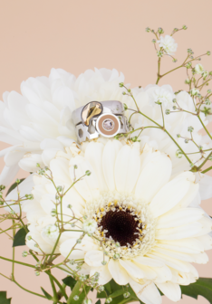 Melano Vivid Paisley steentje Rose Goudkleurig Crystal