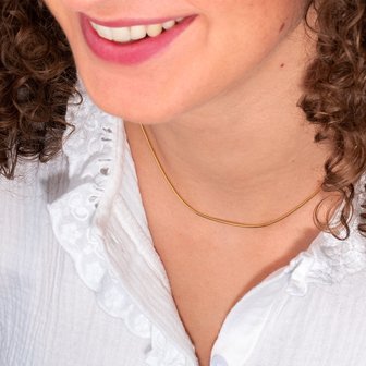 Melano Necklace Stainless Steel Snake Silver-plated 42CM