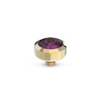 Melano Twisted Stone Gold plated Glossy Amethyst