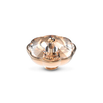 Melano Vivid Stein Rose Goldfarben Wildflower Crystal