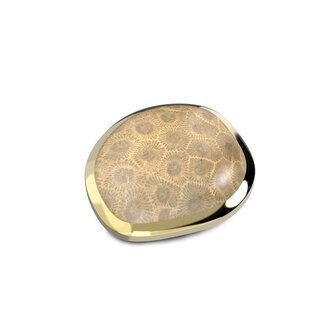 Melano Kosmic  Gold plated Shaped Disk Fossil Coral