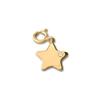 Melano Ornaments Star Cz Hanger Goldplated
