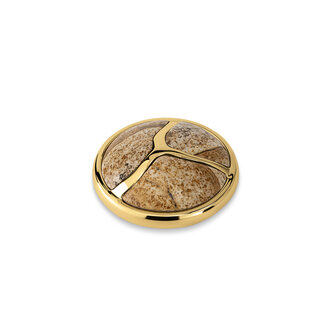 Melano Kosmic Marked Gem Steen Goudkleurig Picture Jasper