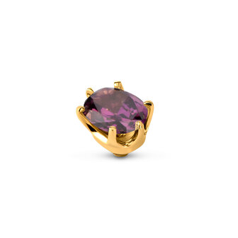 Melano Twisted Stone Gold plated Celebration Amethyst