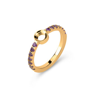 Melano Vivid Viv Ring Goudkleurig Cz Amethyst