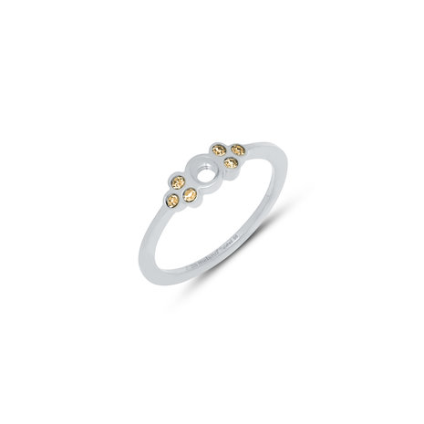 Melano Twisted Thera Ring Silverplated - Champagne