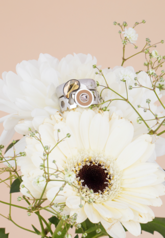 Melano Vivid Paisley steentje Rose Goudkleurig Crystal