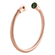 Melano Twisted Taylor Edelstaal Armband Taylor Rose Goudkleurig Smal