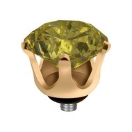 Melano Twisted Crown Stainless Steel Meddy Gold-coloured Lime